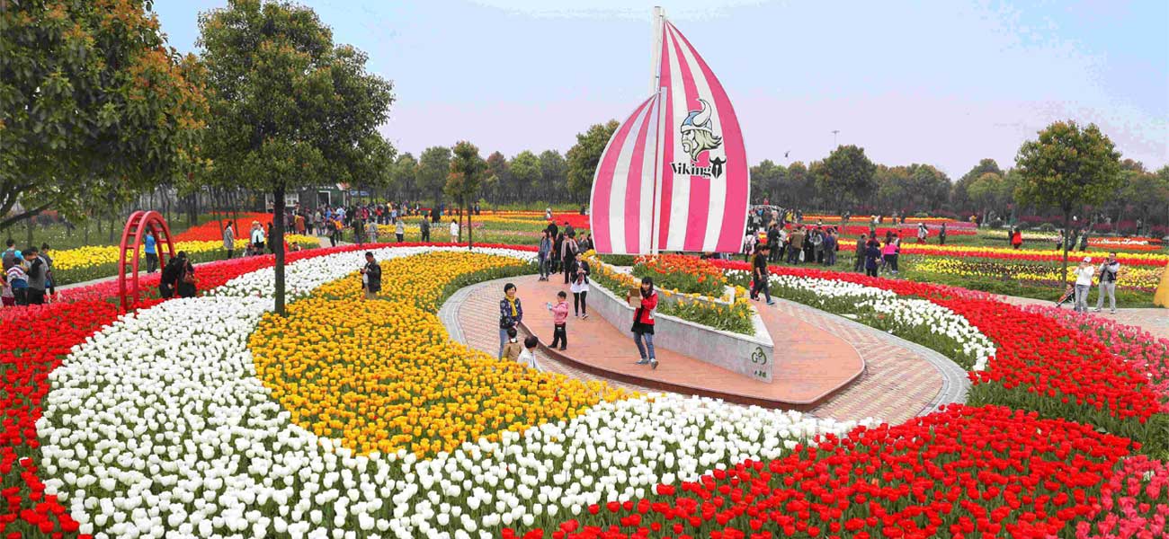 工具湖郁金香主题公园